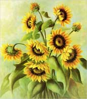 Bunch of Sunflowers